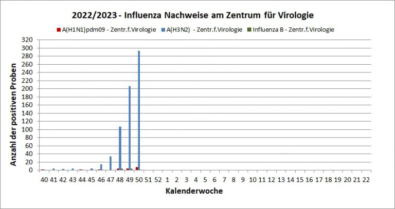 Welche Hausmittel helfen bei grippalen Infekten? – Grippewelle Österreich 2022/2023