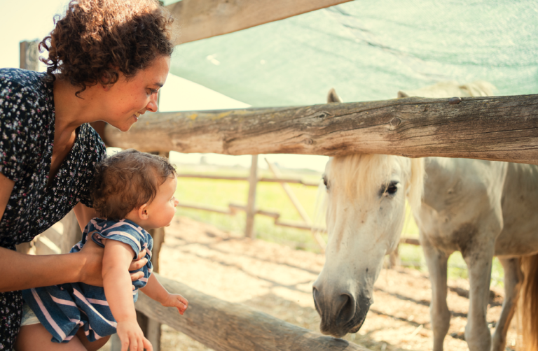 Mein Kind hat Angst vor Pferden – Was kann ich tun?