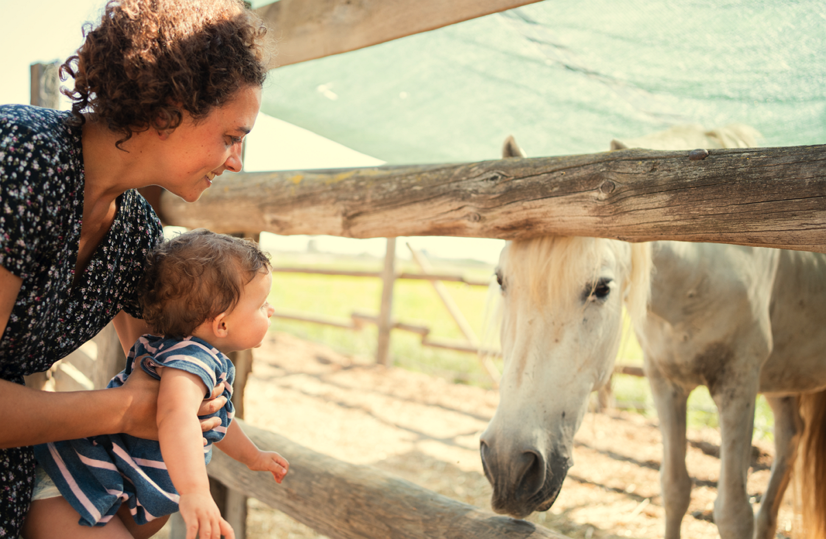 Kinder & Pferde vertragen sich nicht immer - was tun bei Angst vor Pferden?