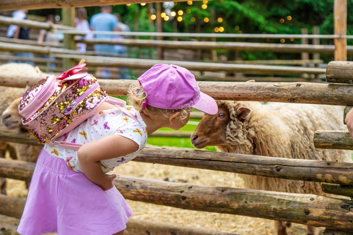 Kindergeburtstage und Ausflüge genießen - am Bauernhof